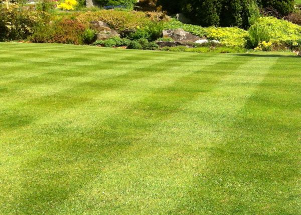 Cost of Commercial Grass Cutting in Sheboygan