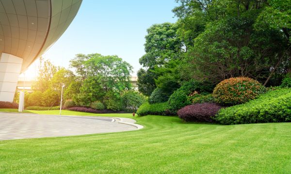 Cost of Commercial Lawn Mowing in Sheboygan