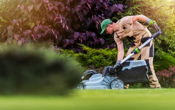 Cost of Lawn Care And Maintenance in Sheboygan