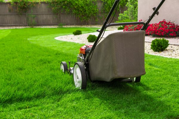 Cost of Lawn Mowing in Sheboygan