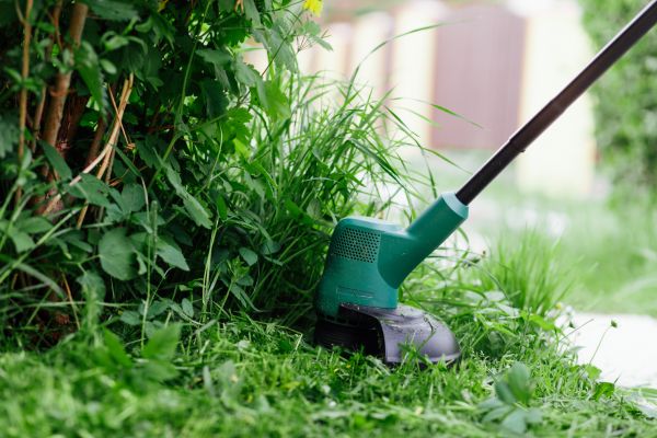 Cost of Weed Whacking in Sheboygan
