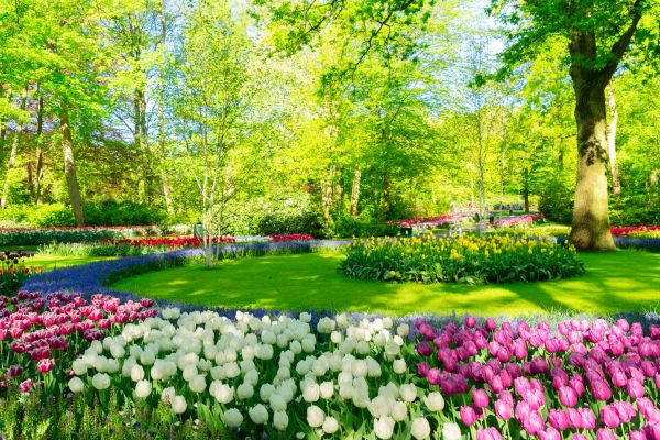 Cost of Spring Lawn Care in Sheboygan