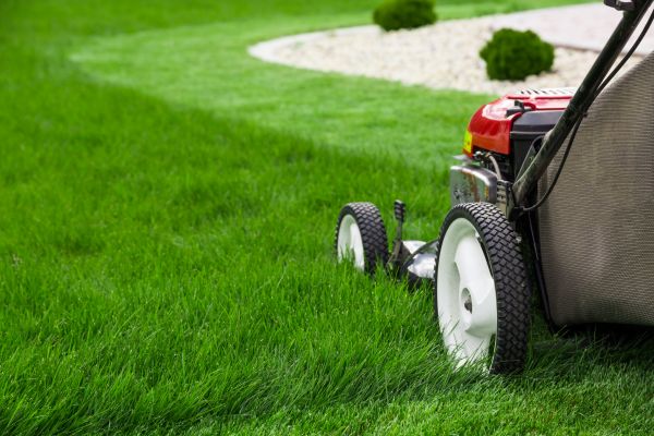 Cost of Lawn Service in Sheboygan
