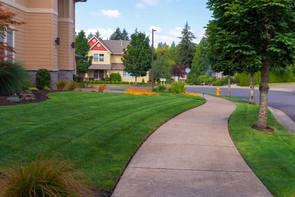 Cost of Home Lawn Maintenance in Sheboygan