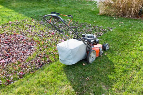 Cost of Seasonal Lawn Care in Sheboygan