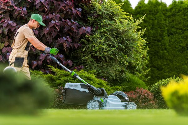 Cost of Lawn Management in Sheboygan