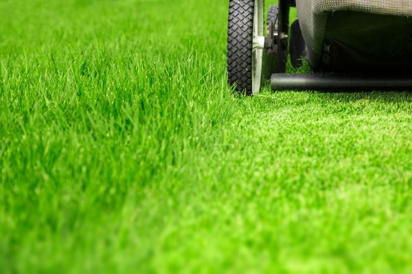 Cost of Weekly Lawn Care in Sheboygan