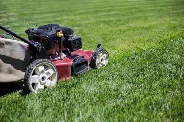Cost of Routine Lawn Care in Sheboygan