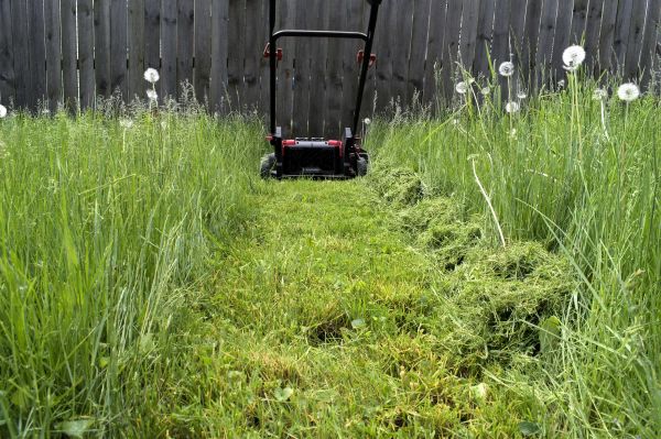 Cost of High Grass Mowing in Sheboygan