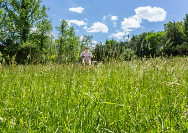 Cost of Long Grass Mowing in Sheboygan