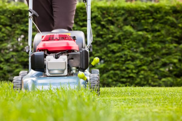 Cost of Grass Trimming Service in Sheboygan