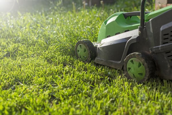 Cost of Lot Mowing in Sheboygan