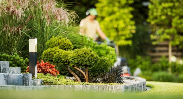 Cost of Residential Yard Maintenance in Sheboygan