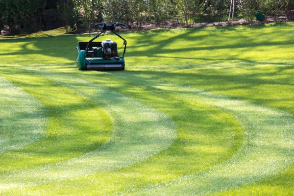 Cost of Business Lawn Mowing in Sheboygan