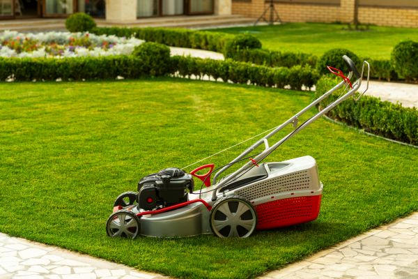 Cost of Business Grass Cutting in Sheboygan