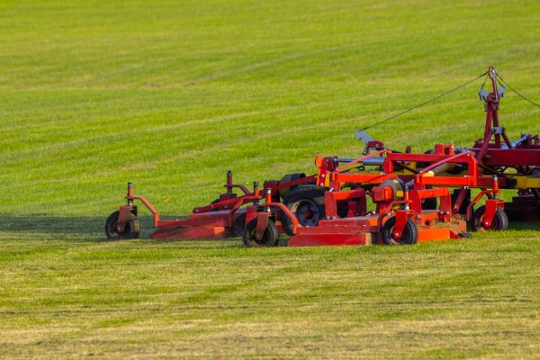 Cost of Industrial Lawn Service in Sheboygan