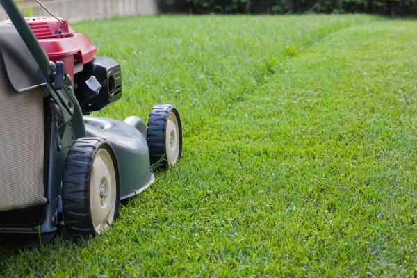 Cost of Spring Lawn Maintenance in Sheboygan