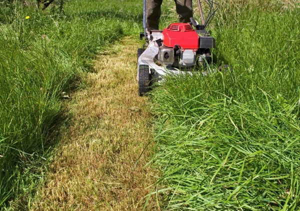 Cost of Leaf Mowing in Sheboygan