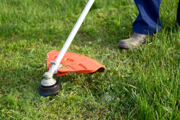 Cost of Lawn Weed Whacking in Sheboygan