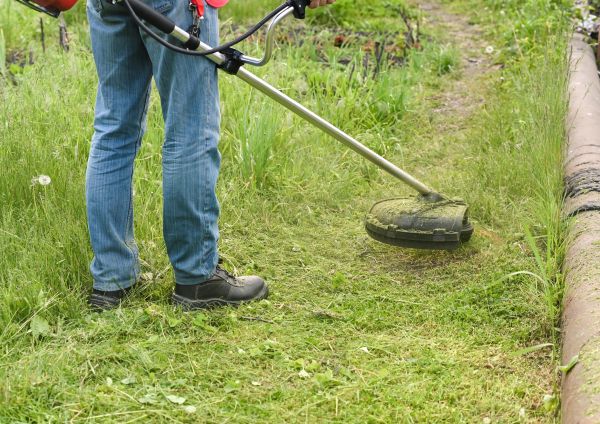 Cost of Tall Grass Trimming in Sheboygan