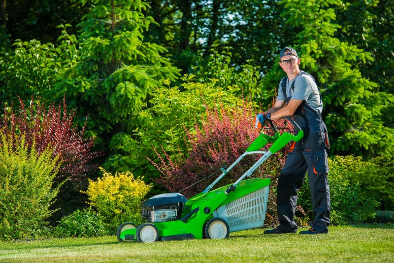 Business Lawn Maintenance detail