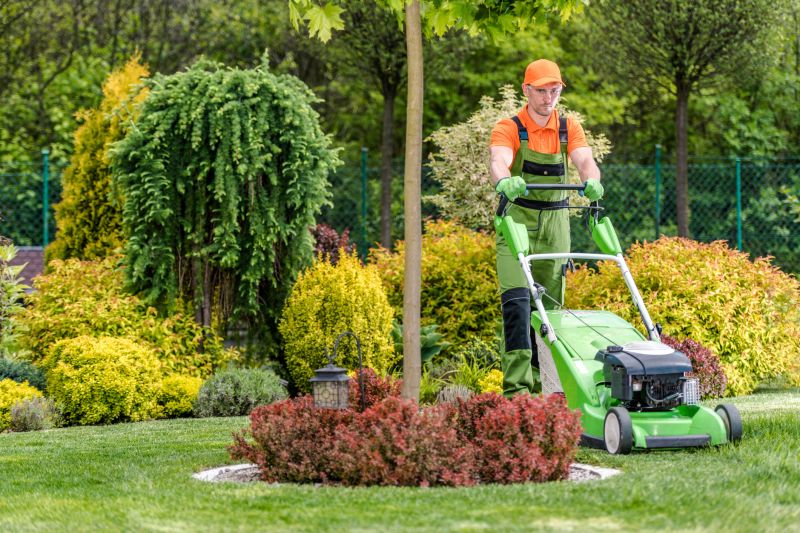 Seasonal Lawn Maintenance Experts